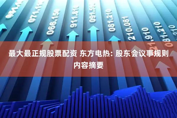 最大最正规股票配资 东方电热: 股东会议事规则内容摘要