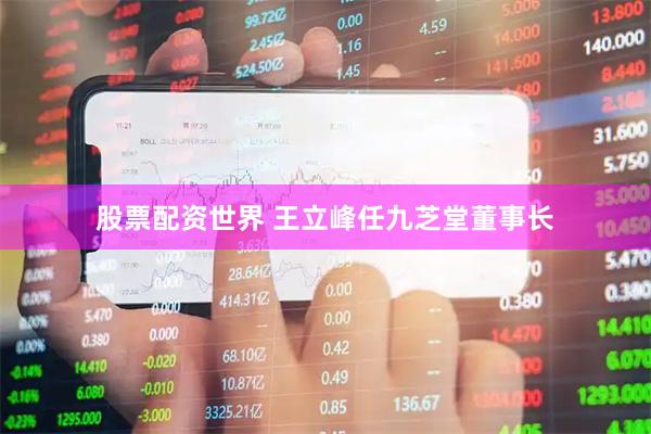 股票配资世界 王立峰任九芝堂董事长