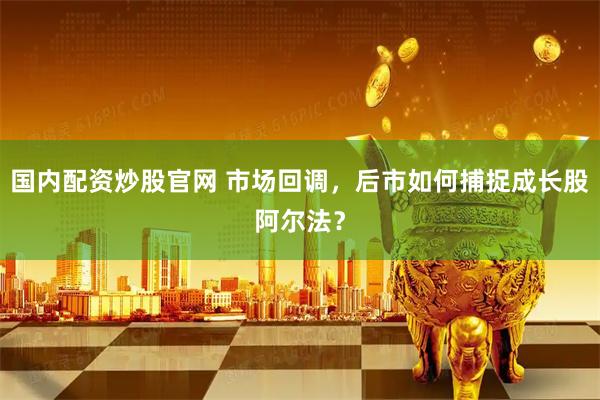 国内配资炒股官网 市场回调，后市如何捕捉成长股阿尔法？